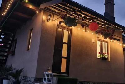 Casă cu 4 camere cu Teren 4800 Mp în Vama - 3