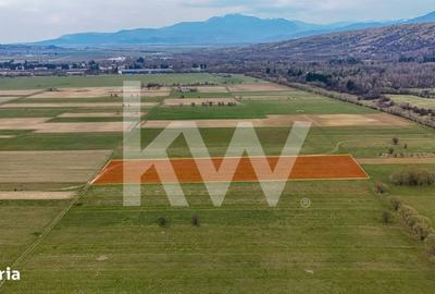 Spațiu comercial, în Plaiul Foii - 3