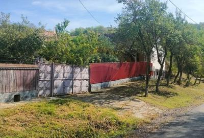 Casa traditionala cu farmec autentic!-judetul Mures - 20