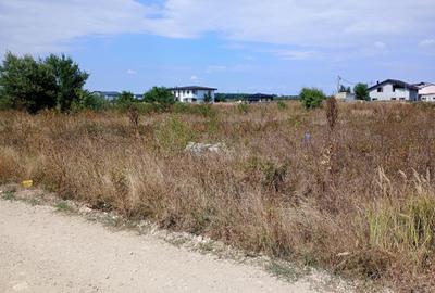 Rascoalei - str. Oltenia, teren intravilan superb - 2