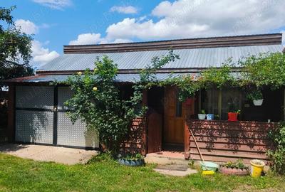 Casa de vanzare+ 67 de ari - 3