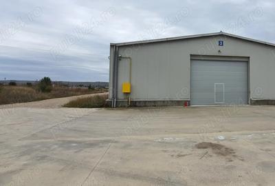 Hala de inchiriat - 1