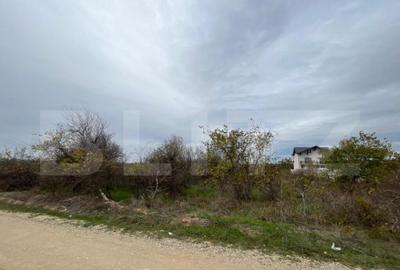 Teren de 3000 mp, în Central