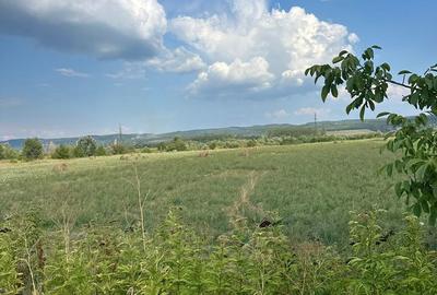 Teren de 20954 mp, în Mihăești - 3