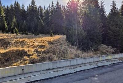 Vanzare Teren 2500 mp.Moroeni - 2