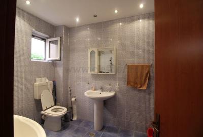 Iancu Nicolae- Vila individuala Iancu Nicolae- Vila individuala - 17