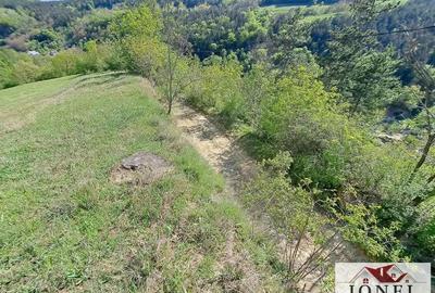 Casa de vanzare cu 46774 mp teren in zona Vintu de Jos - 15