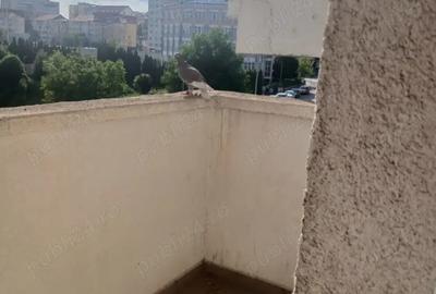 Vand apartament 3 camere plus living - 9