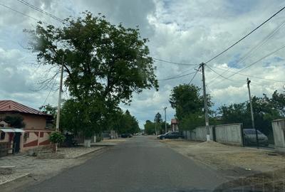 Teren intravilan de 8000 mp, în Adunații-Copăceni - 9
