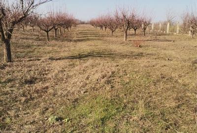 Spațiu comercial, în Central - 1