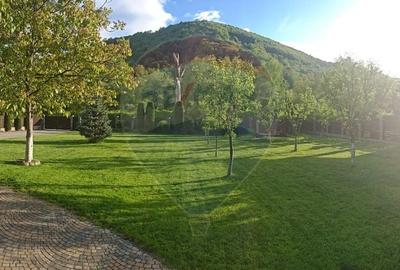 Casă cu 6 camere cu Teren 1241 Mp în Ultracentral - 7