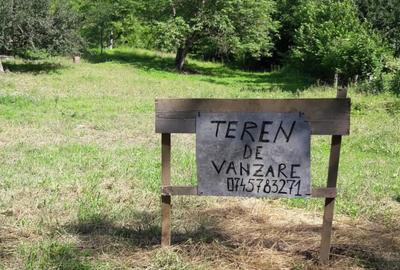 Teren de 3300 mp, în Glod - 3