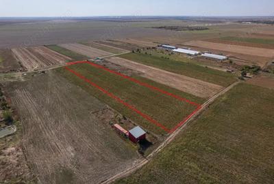 Adunatii Copaceni - Troitei | teren 6 525 mp | zona in dezvoltare - 5