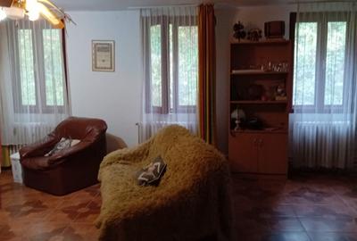 Casa de vacanta Crivaia, langa Valiug -locatie idilica, ideala pentru timp liber - 9