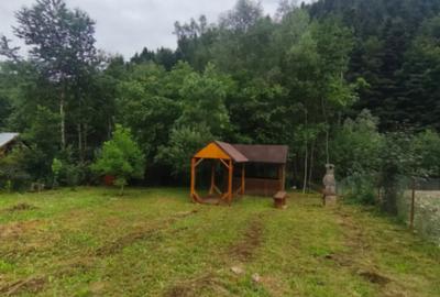 Casă cu 5 camere cu Teren 1250 Mp în Marginea - 7