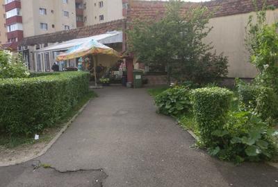 Spațiu comercial, de 100 mp, în Triaj - 6