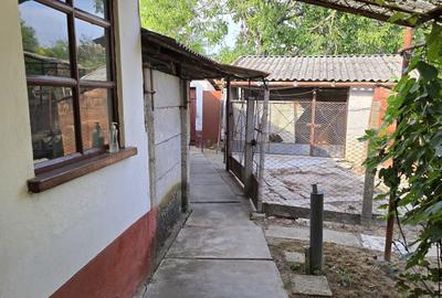 Casă cu 2 camere în Boiu - 7