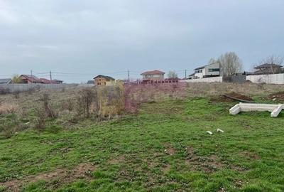 Teren în Domnești - 4