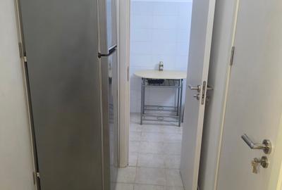 Sala Palatului, Ion Campineanu - 19