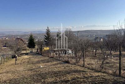 Casa cu 3 camere si teren | 111mp utili 450mp teren | Daia Noua | EXCLUSIVITATE Casa cu 3 camere si teren | 111mp utili 450mp teren | Daia Noua | EXCLUSIVITATE - 1