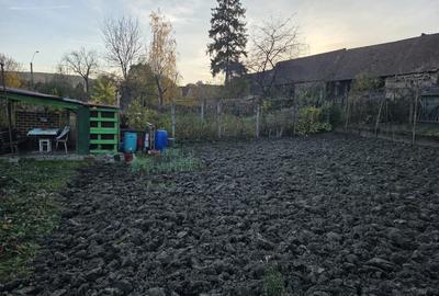 Casa de vanzarea - 3