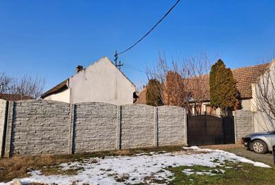 Casă cu Teren 950 Mp în Iecea Mare - 3