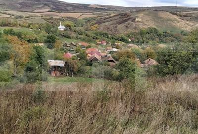 Casa de vanzare, 3 camere, 4663 mp teren, CF, Sat Barai - 1