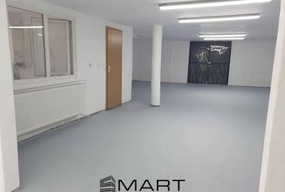 Hala industriala, 90mp zona Gusterita - 3