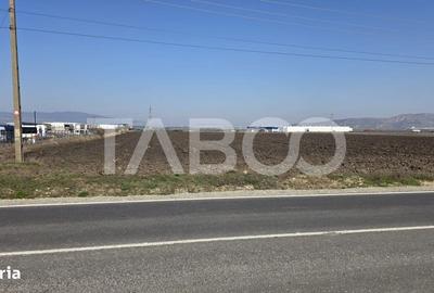 Teren de 5000 mp, în Central