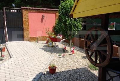 Pensiune(Casa de locuit) + Restaurant, Cugir – pe marginea raului Mare - 5