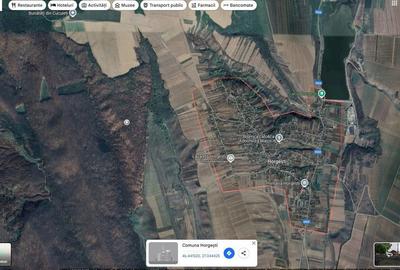 Teren de 35000 mp, în Horgești - 6