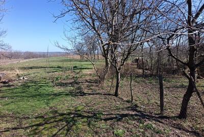 Casă cu 2 camere în Măeriște - 4