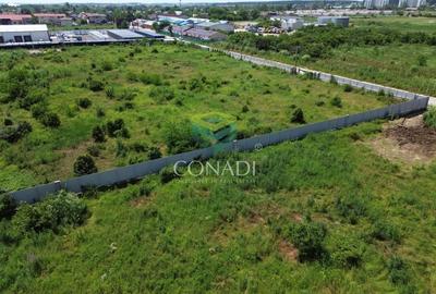 Teren Mogosoaia -  6.000 mp - PUZ aprobat pentru vile P+1E - 3