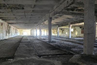 Hala , SC total 2048 MP , P+E, trifazic , teren 2000 mp, zona Borsului - 18