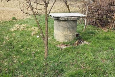 Teren de 3000 mp, în Dumbrăvița - 3
