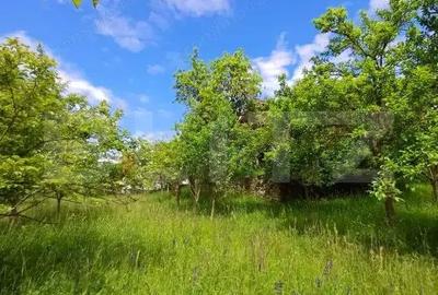 Casă cu 3 camere cu Teren 4873 Mp în Moldovenești - 14