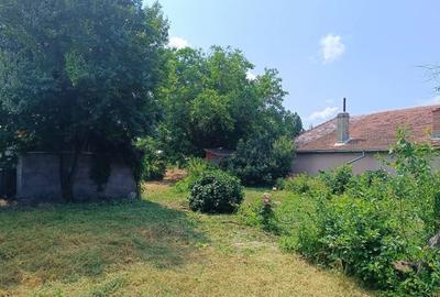 Teren de 750 mp, în Chiscani - 4