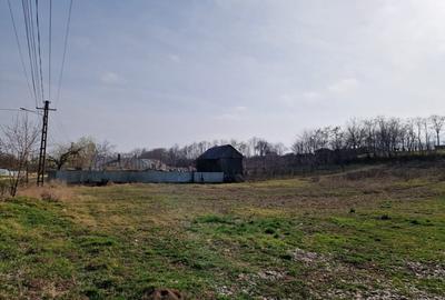 Teren - Roman  -Trifesti - 5