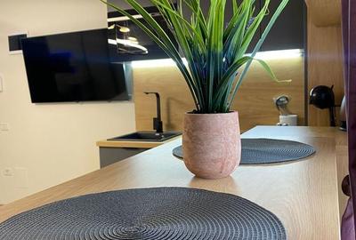 Garsonieră decomandată în Exterior Vest - 10