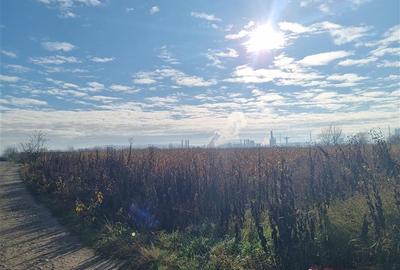 Teren intravilan de 500 mp, în Nazna - 4