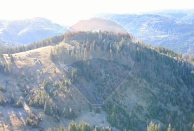 Teren extravilan de 31461 mp, în Panaci - 3