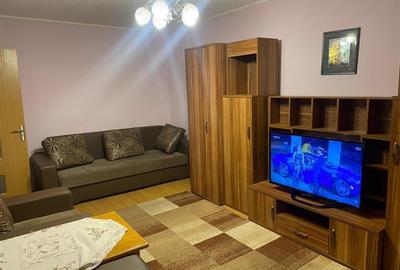 Inchiriere apartament 2 camere Teiul Doamnei - 6