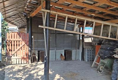 Casa de vanzare, teren mare, intrare auto - Sacadat, Bihor - 9