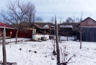 Casă cu 3 camere în Strejești - 5