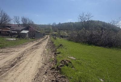 Spațiu comercial, în Vernești - 4