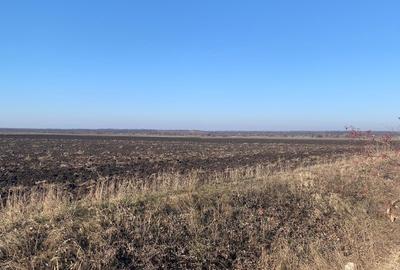 Teren Construcții intravilan de 55000 mp, în Ștefăneștii de Jos - 4