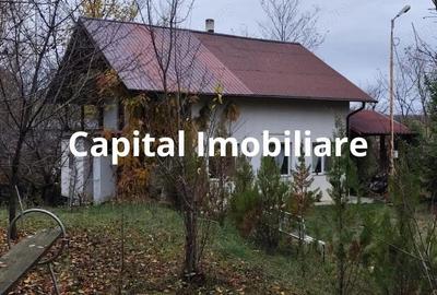 Casa Baicoi 95 mp Sc, 2578 mp teren - 1