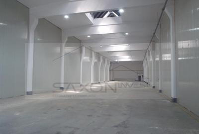 Sos Giurgiului- Jilava - 9