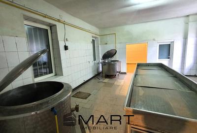 Spațiu comercial, de 250 mp, în Șmig - 7