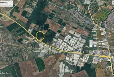 Teren Construcții intravilan de 19680 mp, în Dragomirești-Deal - 6